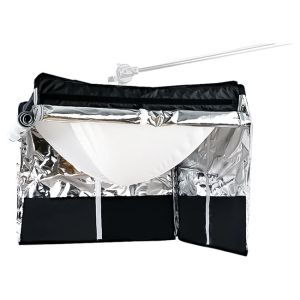 amaran Lantern for F21