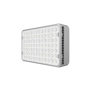 amaran Ace 25c Silver