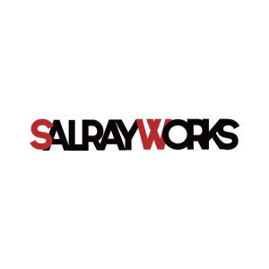 Salrayworks Signal Protocol Converter for Sony Multi Terminal (Enables Remote Control of Zoom, Shutter, Power, OSD via NBOT/VBOT)